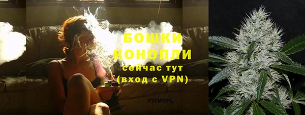 прущие грибы Нязепетровск