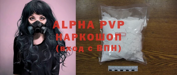 соль ск Новодвинск