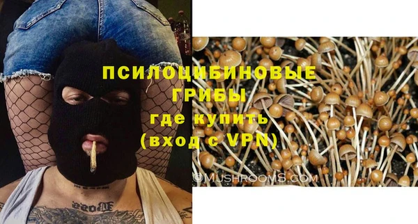мдпв Фурманов
