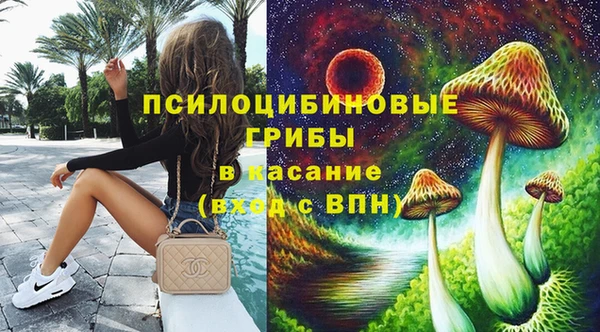 крисы Нягань