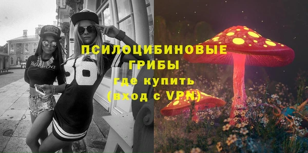 твердый Няндома