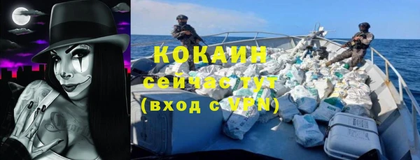 твердый Няндома