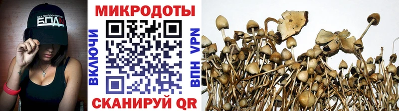 кракен tor  Ржев  Галлюциногенные грибы MAGIC MUSHROOMS 