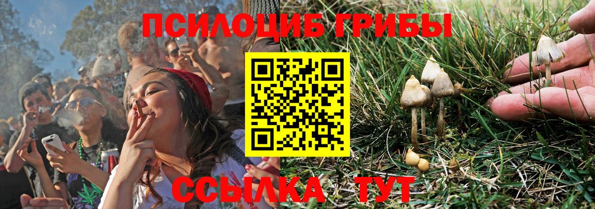 Галлюциногенные грибы Cubensis  цены наркотик  Ржев 