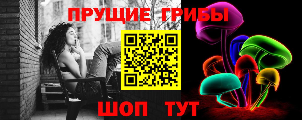 Галлюциногенные грибы Psilocybe  цены наркотик  Ржев  Вход с VPN 