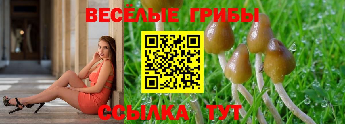 Псилоцибиновые грибы прущие грибы Ржев